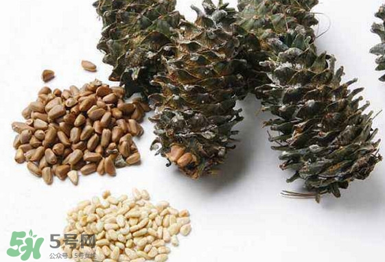 松子是松樹的果實嗎？松子是酸性還是堿性