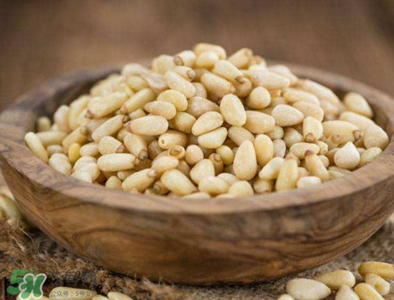 松籽是什么樹結(jié)的？松子還是松籽？