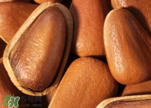 松籽什么季節(jié)采摘？吃松籽有什么好處？