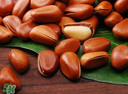 松籽可以生吃嗎？松籽怎么儲(chǔ)藏保存