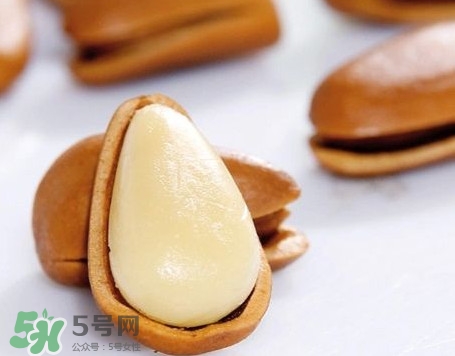 松子是松樹的果實嗎？松子是酸性還是堿性