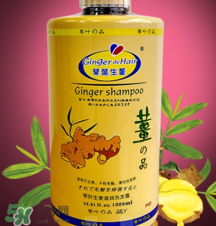 琴葉生姜洗發(fā)水好用嗎？琴葉生姜洗發(fā)水真假