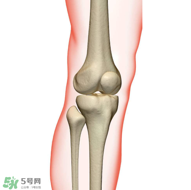 風(fēng)濕不治療可以治愈嗎？早期風(fēng)濕能自愈嗎？