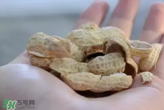 花生發(fā)芽后營(yíng)養(yǎng)如何？花生殼煮水喝有什么用？