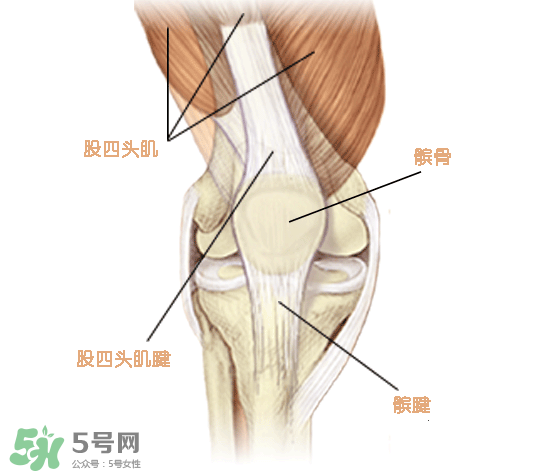 風(fēng)濕可以吃螃蟹嗎？得了風(fēng)濕能吃螃蟹嗎？