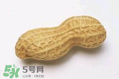 花生有哪些種類型？花生怎么栽培管理？