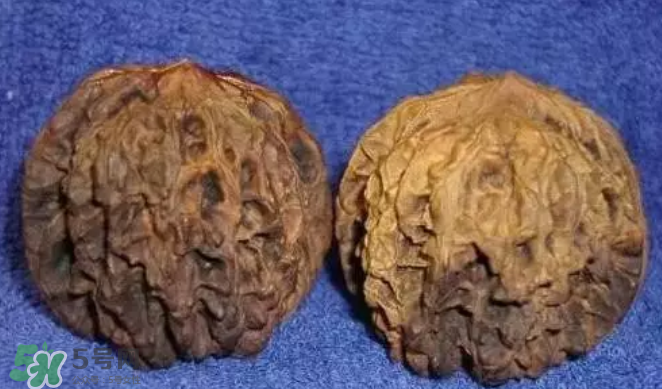 核桃上的陰皮是什么？核桃對血管的作用