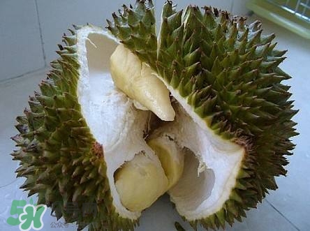榴蓮和雞蛋能一起吃嗎？榴蓮和什么不能一起吃？
