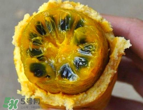 八月炸適合哪里種植？八月炸作用和功效是什么