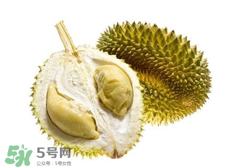 榴蓮籽能種嗎？榴蓮籽怎么種小盆栽？