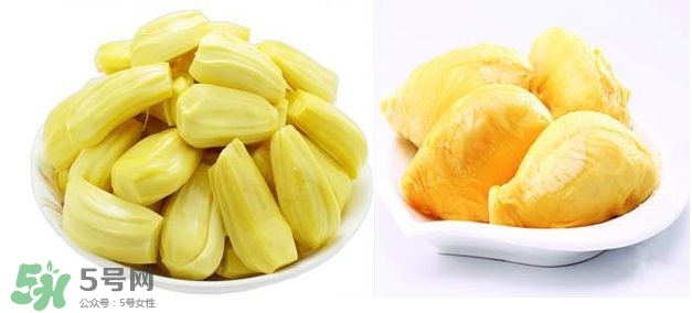 榴蓮和菠蘿蜜一樣嗎？榴蓮和菠蘿蜜哪個(gè)營養(yǎng)好？
