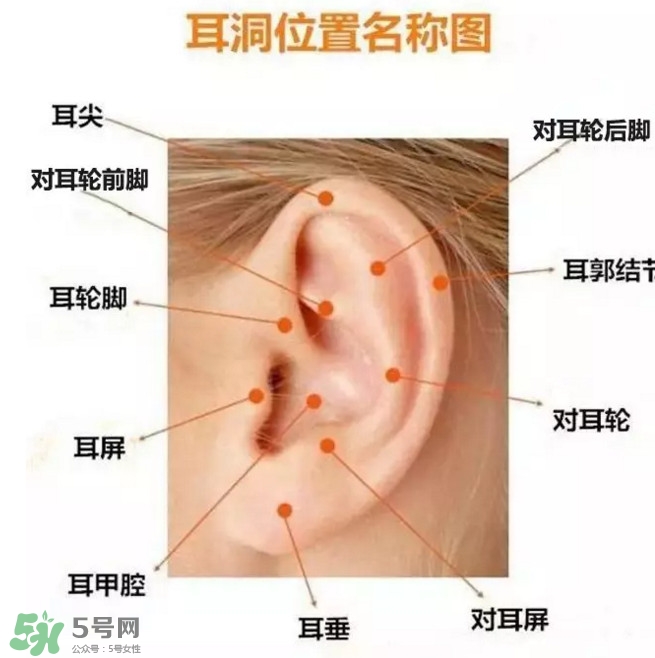 打耳洞多少錢一對(duì)？打耳洞相當(dāng)于什么疼