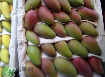 芒果有哪些品種？哪種芒果最好吃？