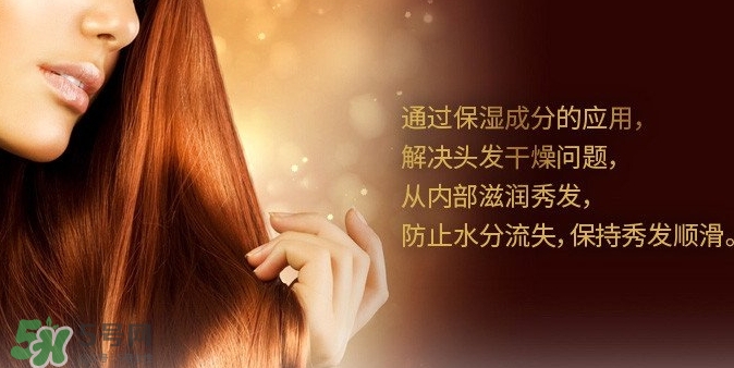 indefinie是什么牌子？indefinie洗發(fā)水怎么樣？