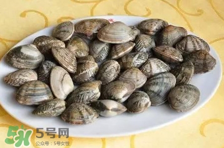 蛤蜊和花甲一樣嗎？蛤蜊和花甲的區(qū)別