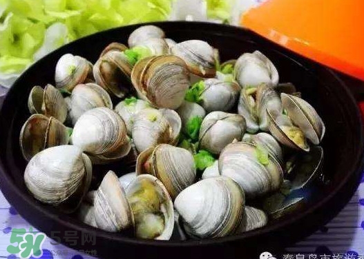 蛤蜊蒸蛋孕婦能吃嗎？蛤蜊蒸蛋寶寶能吃嗎