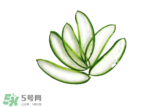 蘆薈泡酒治皮膚病嗎？蘆薈泡酒的功效與作用