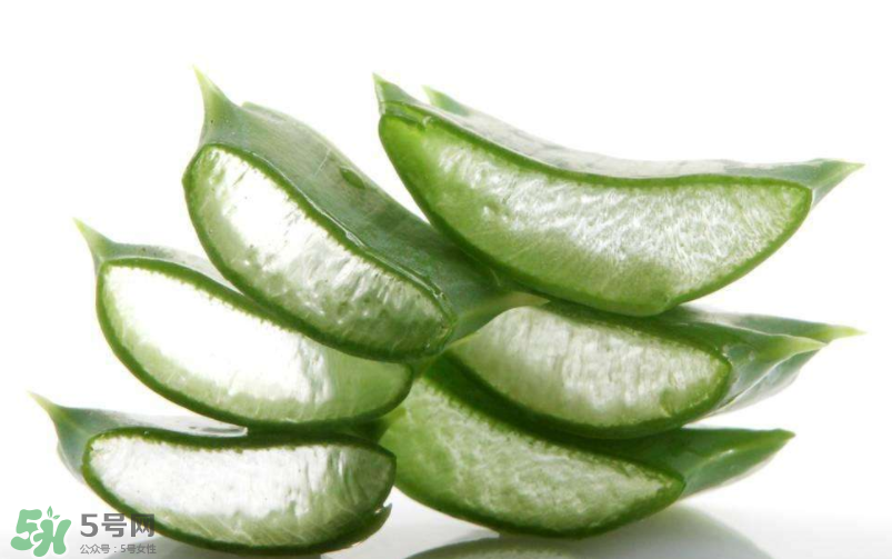 敏感肌能使用蘆薈護(hù)膚嗎？蘆薈膠有什么用？
