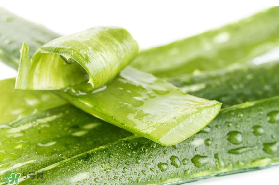 敏感肌能使用蘆薈護(hù)膚嗎？蘆薈膠有什么用？