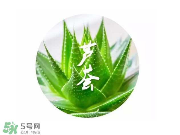 蘆薈膠的醫(yī)療作用有哪些？蘆薈膠的使用方法有哪些？
