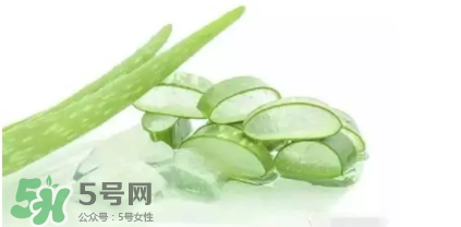蘆薈怎么吃？蘆薈番茄湯的做法 