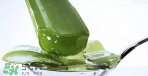 蘆薈怎么吃？蘆薈番茄湯的做法 