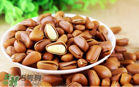 松子什么時候成熟？松子什么時候吃最好