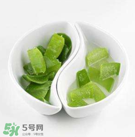 新鮮的蘆薈怎么吃？蘆薈的多種吃法
