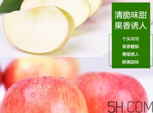 美八蘋果價格多少錢？美八蘋果多少錢一斤？