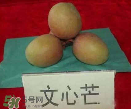 芒果有哪些品種？哪種芒果最好吃？