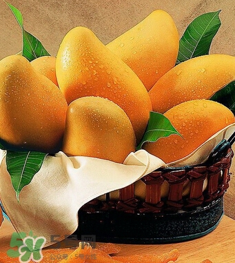 芒果怎么吃？芒果的做法大全