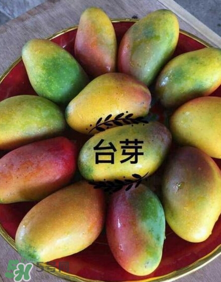 芒果有哪些品種？哪種芒果最好吃？