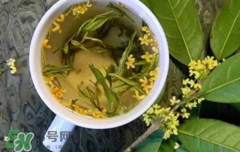 桂花茶怎么泡好喝？桂花茶怎么制作？