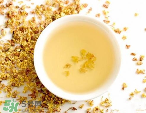 桂花茶怎么泡好喝？桂花茶怎么制作？