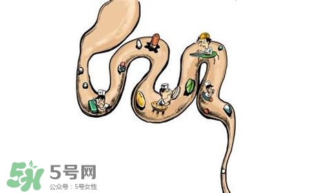 螺旋藻能治胃病嗎？有胃病日常需要注意什么？