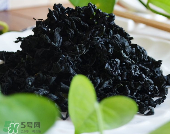 螺旋藻是海帶嗎？螺旋藻是海藻嗎？