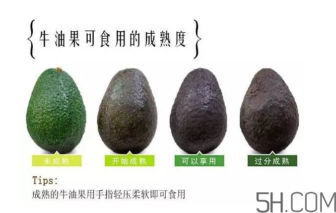 牛油果和香蕉一起能多吃嗎？牛油果挑什么樣的好？
