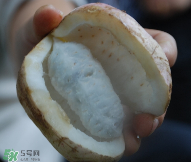 八月瓜可以經(jīng)常吃嗎？八月瓜可以多吃嗎？