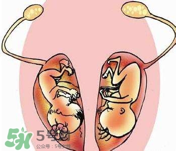 雙子宮對(duì)懷孕有影響嗎？雙子宮懷孕要注意什么？