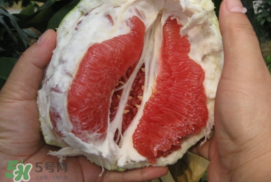 紅肉蜜柚可以儲存多久？紅肉蜜柚怎么挑選