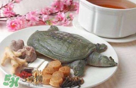 腳魚(yú)是什么？腳魚(yú)和烏龜?shù)膮^(qū)別