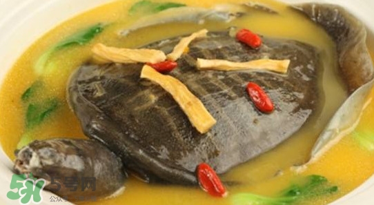 è…³é­šæœ‰éˆæ€§å—Žï¼Ÿè…³é­šåƒäº†æœ‰ä»€ä¹ˆå¥½è™•