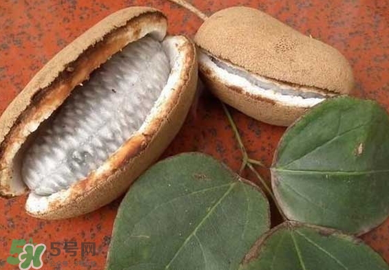 八月瓜能放冰箱嗎？八月瓜怎么保存？