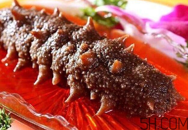 海參能和西紅柿一起吃嗎？海參和什么一起吃最好？