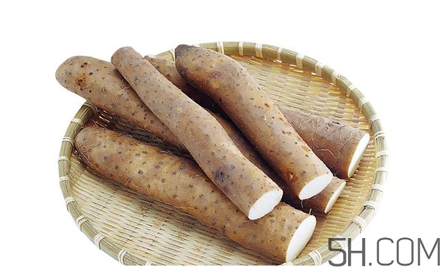 山藥發(fā)芽怎么處理？山藥的功效及作用