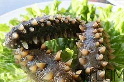 術后能吃海參嗎？術后吃海參的功效與作用