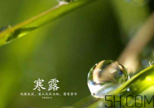 2017年寒露會(huì)下雨嗎？寒露下雨好嗎？