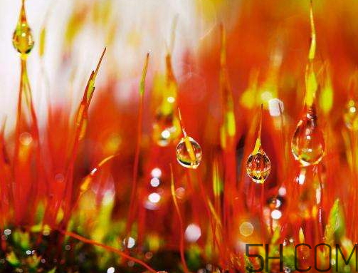 2017年寒露會(huì)下雨嗎？寒露下雨好嗎？