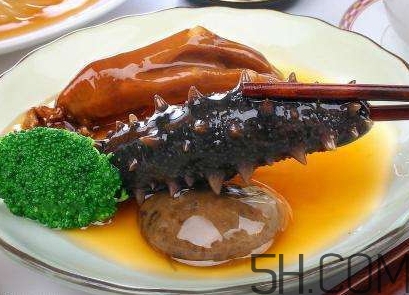 海參是海鮮嗎？海參是動(dòng)物還是植物？