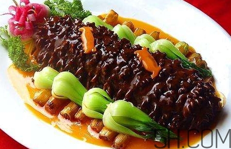 海參是高蛋白食物嗎？海參是素食嗎？